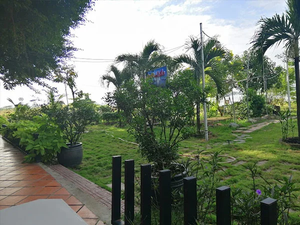 Sân vuồn cafe Lido gần sông