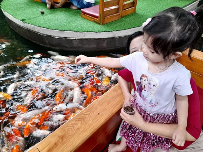 Quán Cafe Vườn Cá tuyệt đẹp