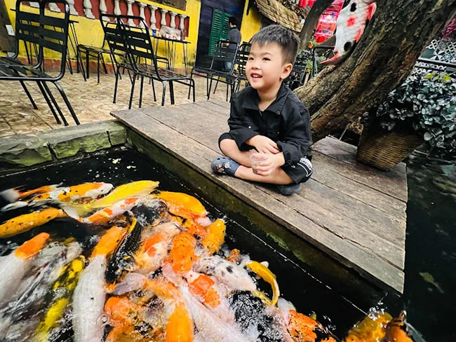 Cafe Góc Phố Koi Check in