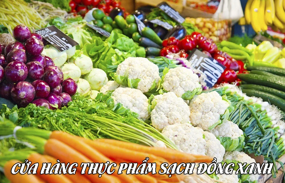 Cửa Hàng Thực Phẩm Sạch Đồng Xanh