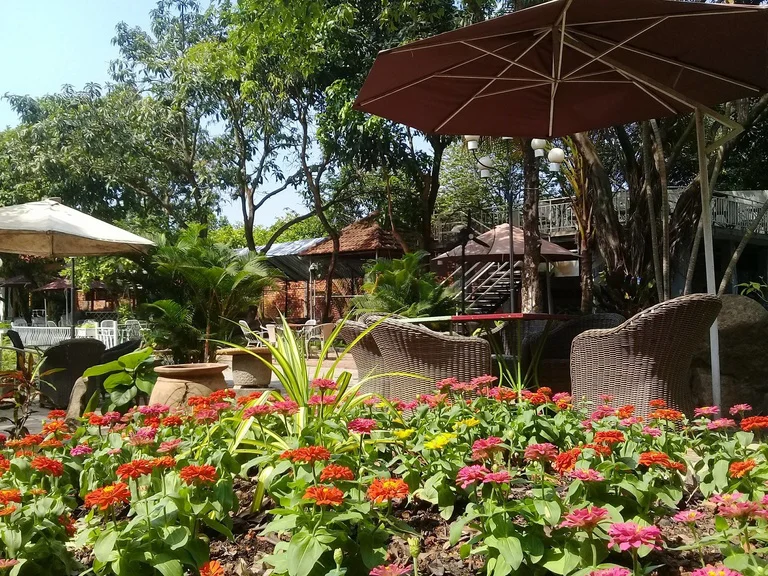 Cafe Lộc Vừng