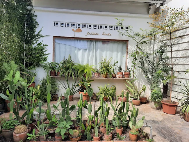 Cafe Passion House view đẹp