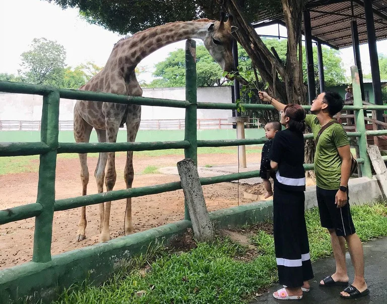Khu Du Lịch Sinh Thái Vườn Xoài